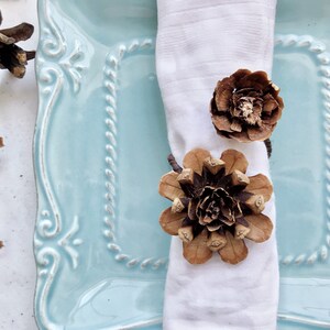 May include: A white napkin ring made from two brown pine cones. The napkin ring is on a light blue plate with a white decorative border.