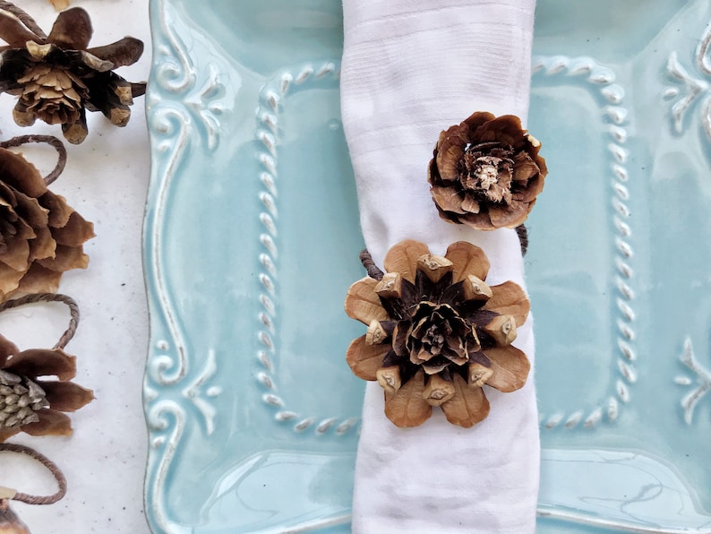May include: A white napkin ring made from two brown pine cones. The napkin ring is on a light blue plate with a white decorative border.
