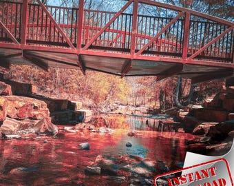 Creek Bridge Nature Art Print (Digital Download)