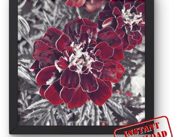 Elegant Red Floral Digital Art Print for Home Décor