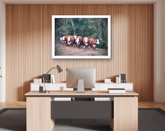 Serene Winter Cow Landscape Photography Print: Rustic Farmhouse Wall Art Decor