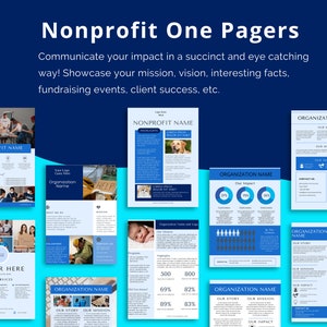 Nonprofit One Pager | Nonprofit Overview Template | One Page Summary ...