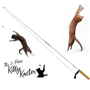 Cat Toys Interactive 