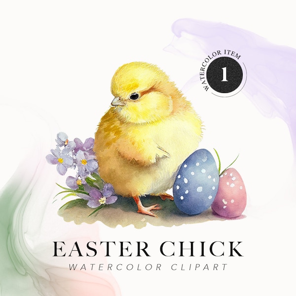 Easter Chick Watercolor Clipart  - Easter Eggs - Cute Little Chick Baby Chiken - Spring Flowers Clip Art