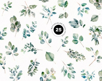 May include: A set of 25 watercolor eucalyptus leaves in various shades of green. The leaves are arranged in a repeating pattern on a white background. The text "Watercolor Eucalyptus 25" is written in a circle in the center of the image.
