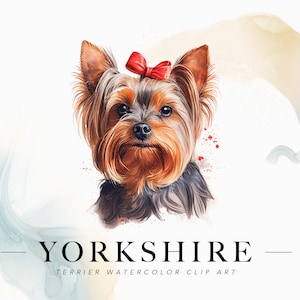 Yorkshire Terrier Puppy Clipart - Little Yorkie PNG, Dog Pet Portrait, Cute Dog Nursery Clip Art
