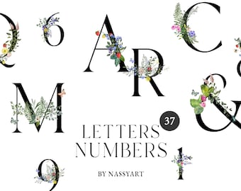 Könnte beinhalten: Blumen-Alphabet und -Zahlen-Clipart mit schwarzen Buchstaben und Zahlen, die mit bunten Blumen und Grün verziert sind. Der Text "LETTERS NUMBERS BY NASSYART" wird unter dem Clipart angezeigt.