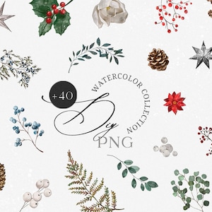 Acquerello Inverno Natale Fiore Foglia Pigna Elementi floreali fai da te Carta di invito matrimonio logo clipart png