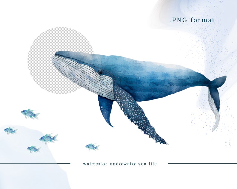 May include: A watercolor painting of a blue whale swimming in the ocean. The whale is surrounded by small, blue fish. The painting has a light blue background with a white border. .PNG format. watercolor underwater sea life