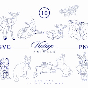 Zeer fijne tekeningen schattige dieren - Bosdieren - Pasen konijn, herten, konijn clipart, kitty, kat, hond SVG EPS clipart