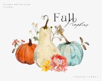 Aquarel pompoen clipart, Thanksgiving decor, herfst pompoenen, bloemen pompoen illustraties, herfst clipart