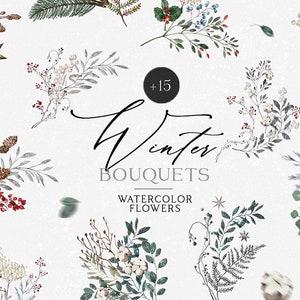 Clipart de buquês de aquarela de Natal - vegetação de inverno - flores de Natal - clipart de pinheiro - poinsétia - flores de inverno - buquês