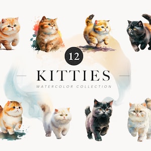 12 Aquarell Baby Kätzchen Bundle - süße Katzen Clipart Set - Kätzchen Portrait Aquarell - Kätzchen PNG - Junk Journal, Papier Scrapbooking