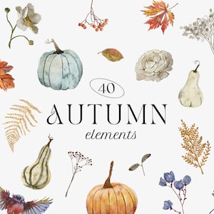 May include: A set of 40 watercolour illustrations featuring autumnal elements, including pumpkins, gourds, leaves, flowers, and berries. The illustrations are in a variety of colours, including orange, yellow, red, brown, and green.