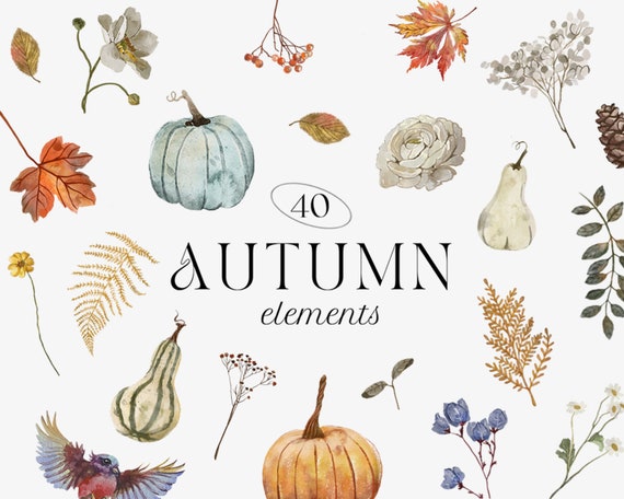 Autumn Clipart, Watercolor Autumn Elements, Pumpkin Clipart, Pine Cone, Watercolor Fall Floral, Fall Clipart, Rusty Foliage, Greenery