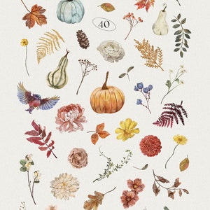 Op de afbeelding: Een verzameling van 40 aquarel illustraties van herfst elementen, waaronder pompoenen, pompoenen, bladeren, bloemen en bessen. De illustraties zijn in verschillende kleuren, waaronder oranje, geel, rood, bruin en groen. De tekst "AUTUMN elements" staat in het zwart bovenaan de afbeelding.