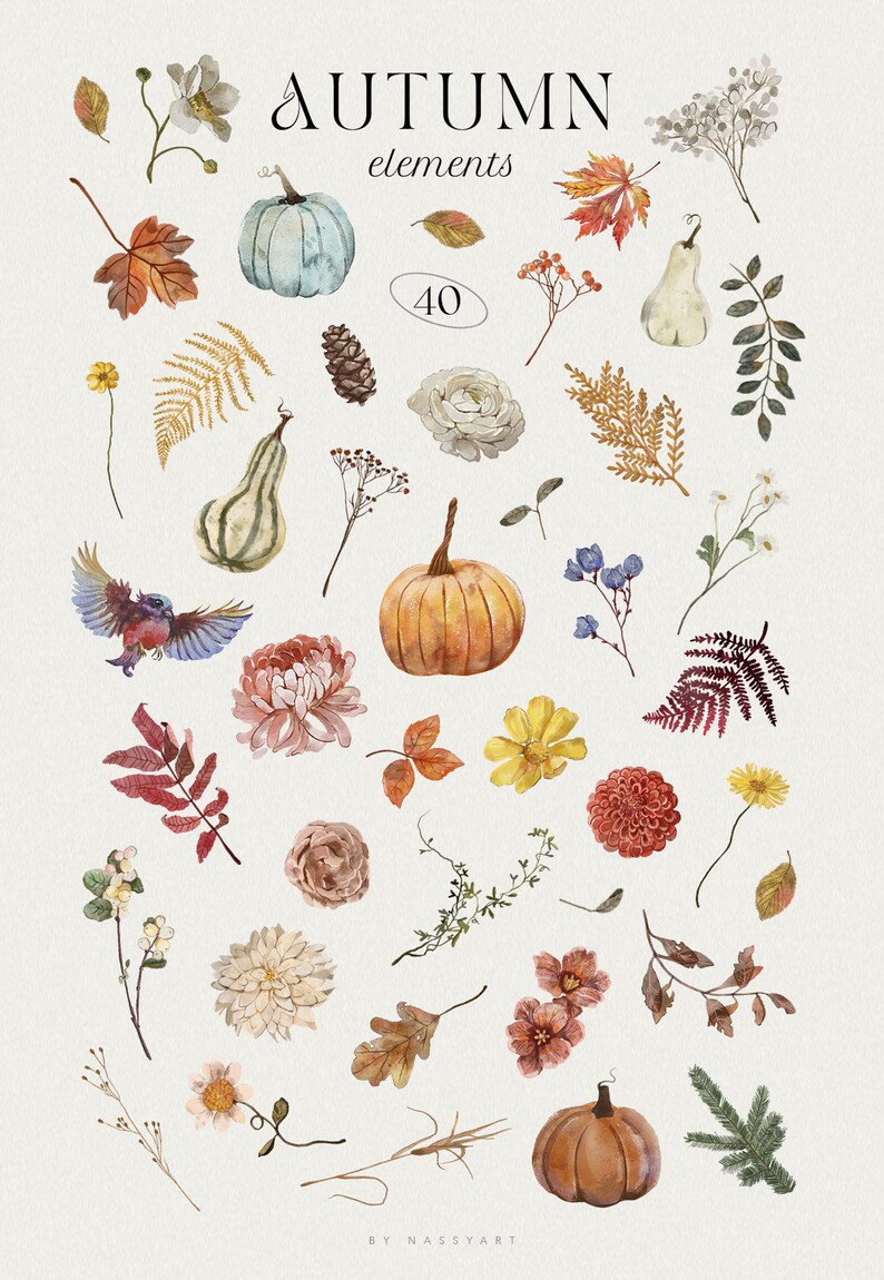 Op de afbeelding: Een verzameling van 40 aquarel illustraties van herfst elementen, waaronder pompoenen, pompoenen, bladeren, bloemen en bessen. De illustraties zijn in verschillende kleuren, waaronder oranje, geel, rood, bruin en groen. De tekst "AUTUMN elements" staat in het zwart bovenaan de afbeelding.