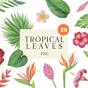 Watercolor Tropical flowers and leaves clipart, Tropical plants, Jungle clipart, Hawaii wedding, Greenery Clipart, Tropical Greenery PNG