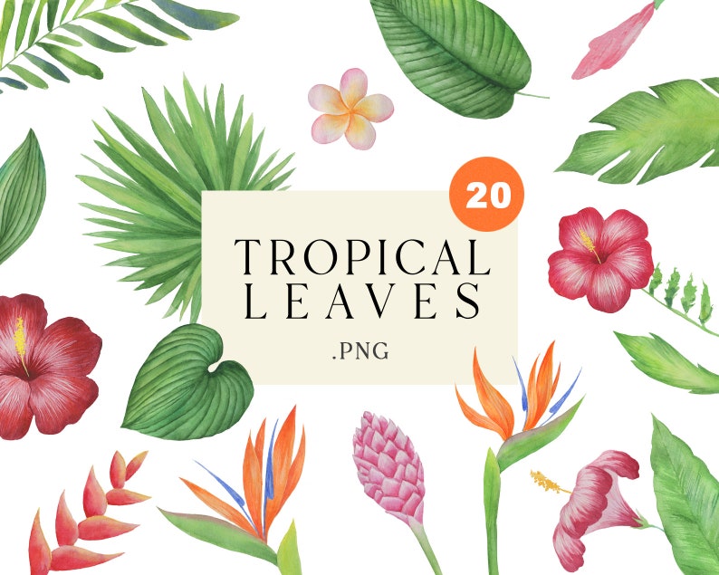 Watercolor Tropical Flowers and Leaves Clipart, Tropical Plants, Jungle ...