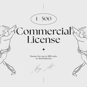 Commercial License (1- 500 sales), Legal Use of NassyArt Shop Graphics