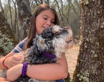 Paracord friendship collar and bracelet