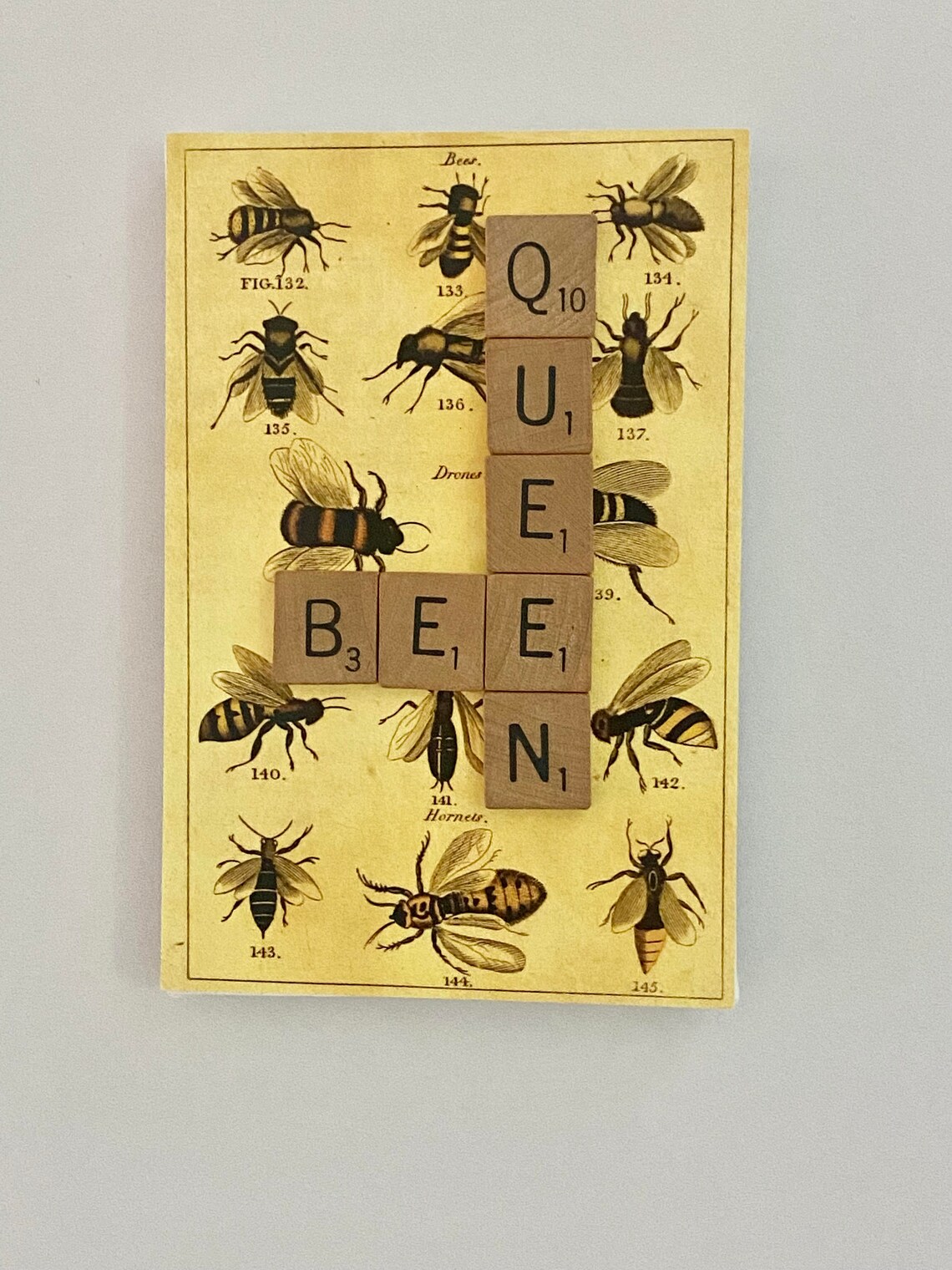 QUEEN BEE Scrabble Art Bee Wall Hanging Scrabble Wall Art Etsy