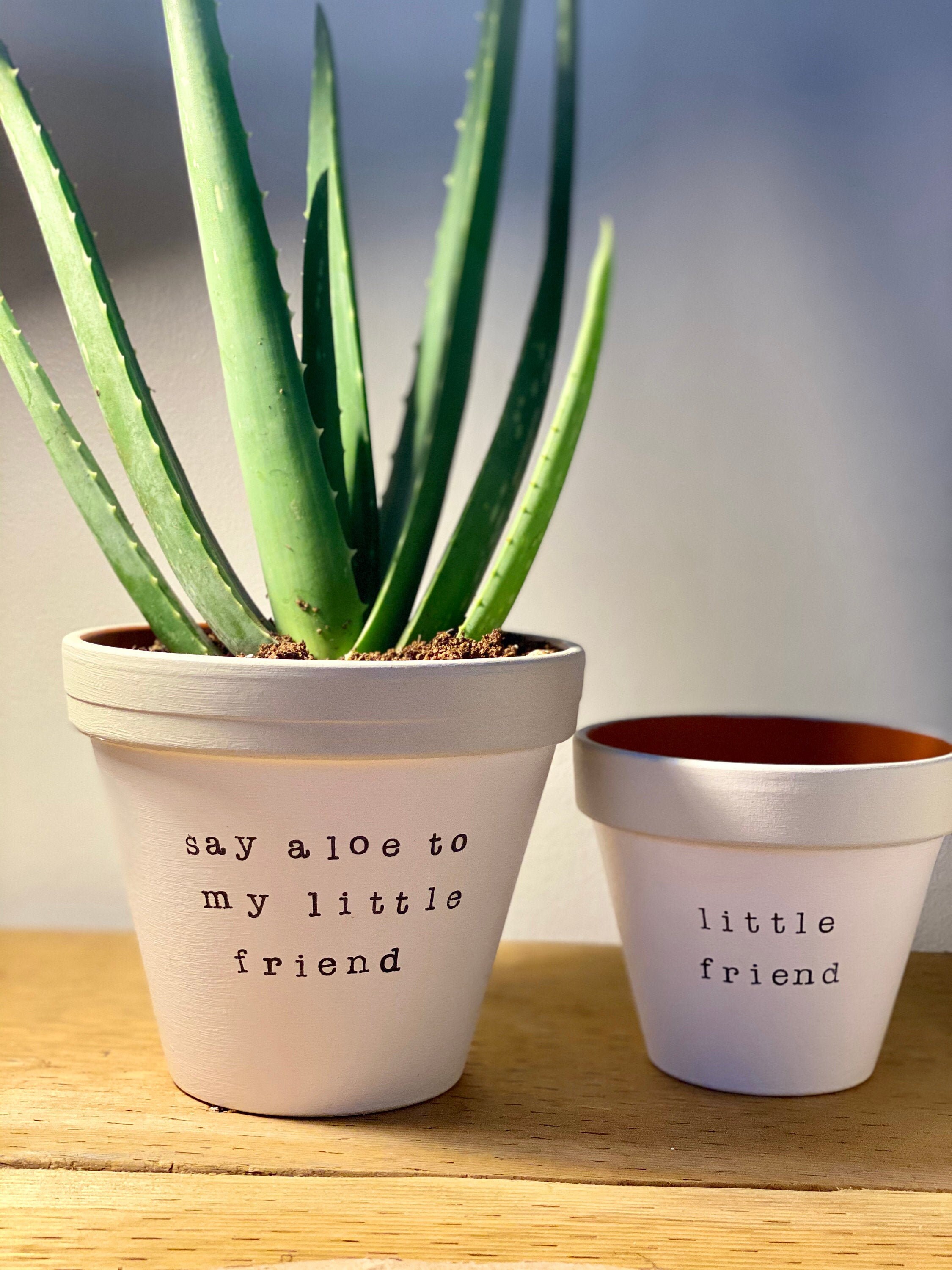 Say aloe to my little friend little friend plant pot best Etsy
