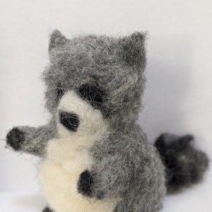 Rasputin The Racoon