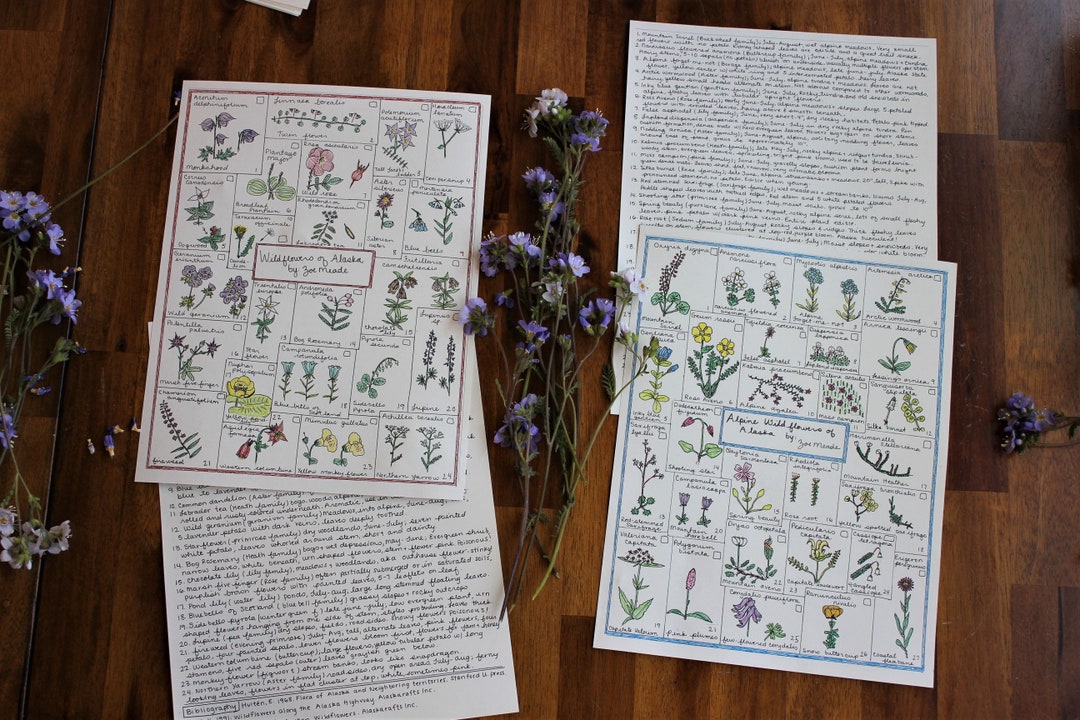 Wildflowers of Alaska Field Guides - Etsy