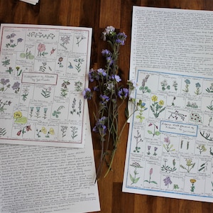 Wildflowers of Alaska Field Guides