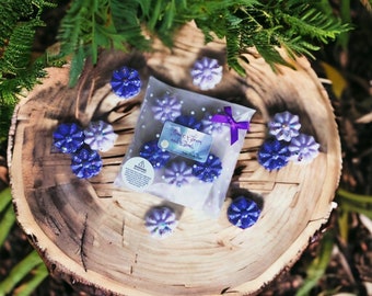 Tangled Inspired Wax Melt Gift, Floral Wax Melts, Tangled Gift, Wax Melts for Disney Lover