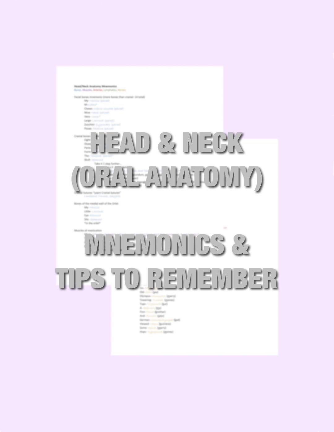 Head and Neck Anatomy, Study Guide, Cheat Sheet, Mnemonics, Nursing