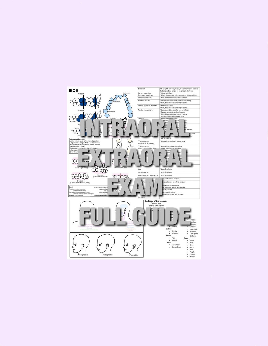 Intraoral Extraoral Exam, IOEO, EOIO, IEOE, Study Guide, Reference, Cheat Sheet, Dentist, Dental