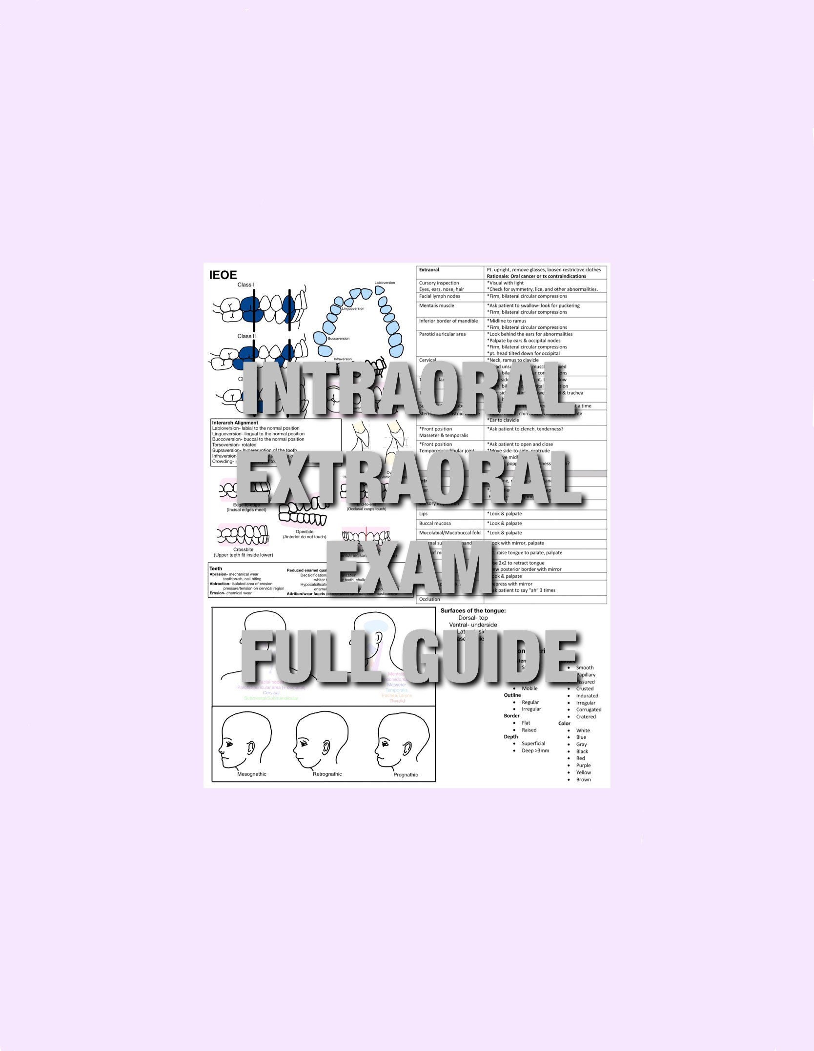 Intraoral Extraoral Exam, IOEO, EOIO, IEOE, Study Guide, Reference