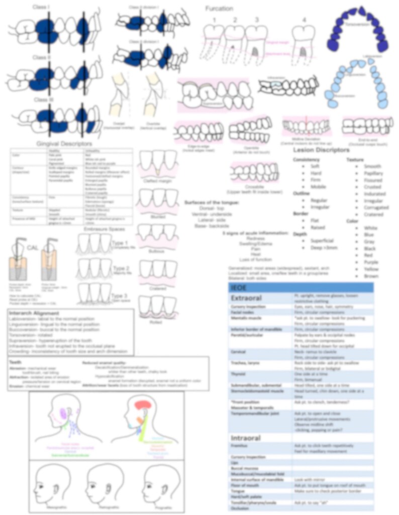 Intraoral Extraoral Exam, IOEO, EOIO, IEOE, Gingival Conditions, Study