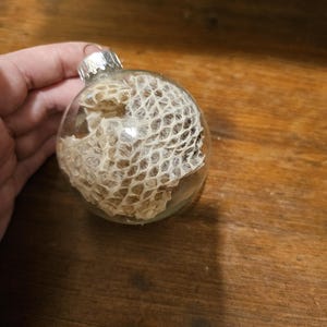 Könnte beinhalten: Ein transparenter Weihnachtsbaumschmuck aus Glas mit einer beigefarbenen Schlangenhaut im Inneren.