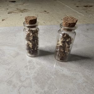 Small Jar Rabbit Bones