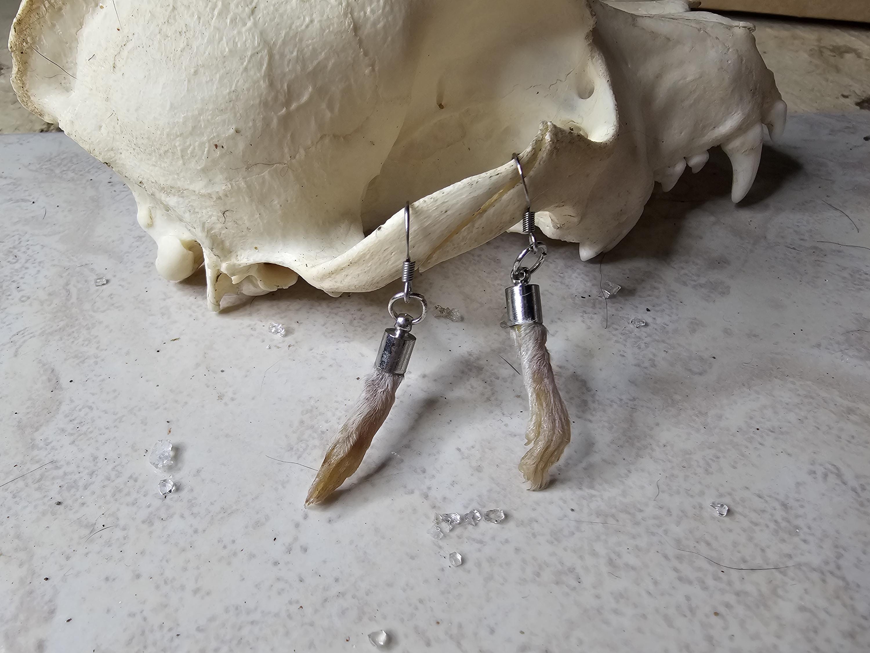 Rat Tail Earrings - Etsy Canada