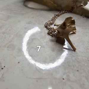 Rabbit Bone Thick Gold Necklace