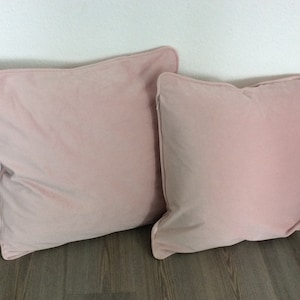 Two Blush Pink Velvet Italian Pillows