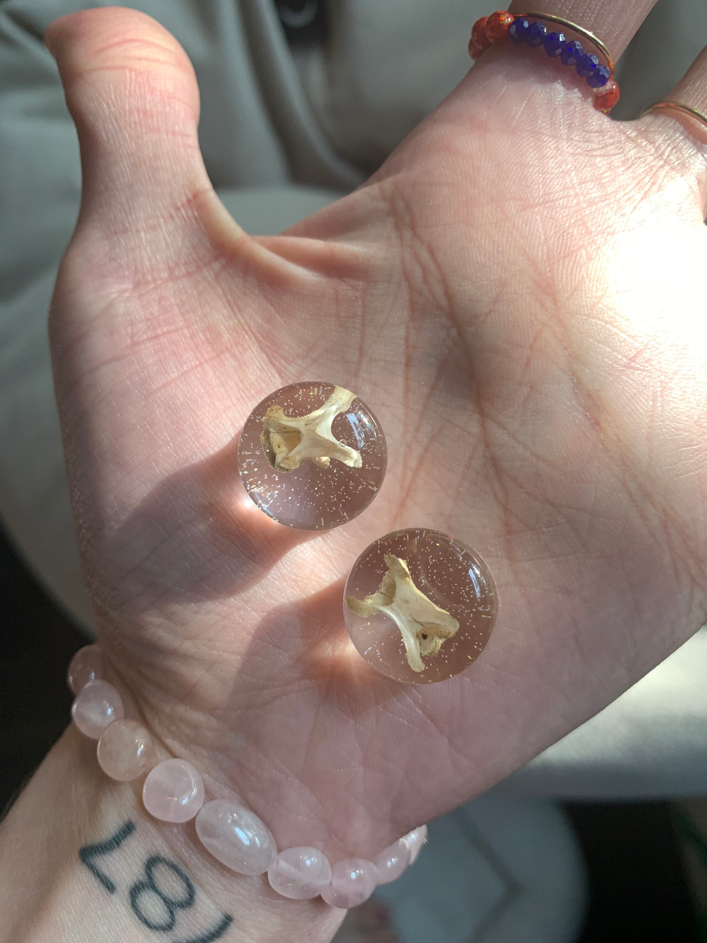 Taxidermy Ear Gaugesresin Stretched Ear Gaugesstretched Ear Etsy