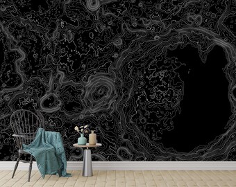 Black and White Topographic Lunar Wall Mural for Stylish Modern Interior Decoration, Abstract Moon Contour Wallpaper