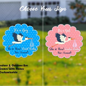 Custom Stork Baby Arrival Sign – It&#39;s a Boy or It&#39;s a Girl – Personalized Baby Name Yard Sign with Stakes – Newborn Welcome Home Sign