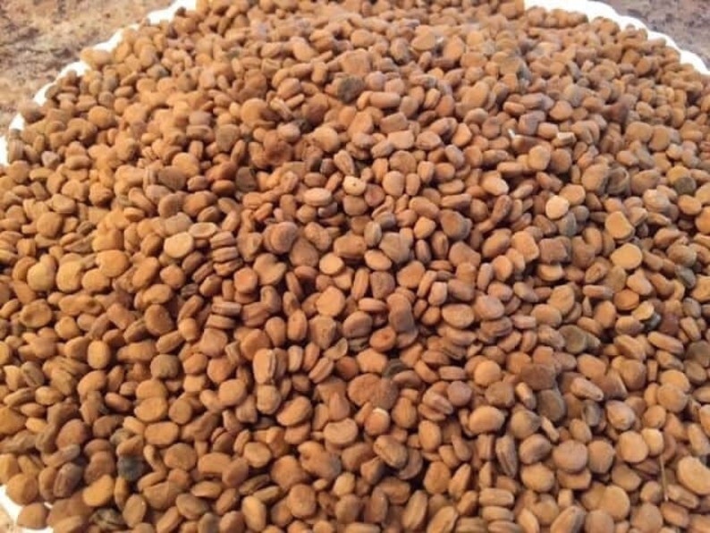 Купить Семена Женьшеня Для Посадки