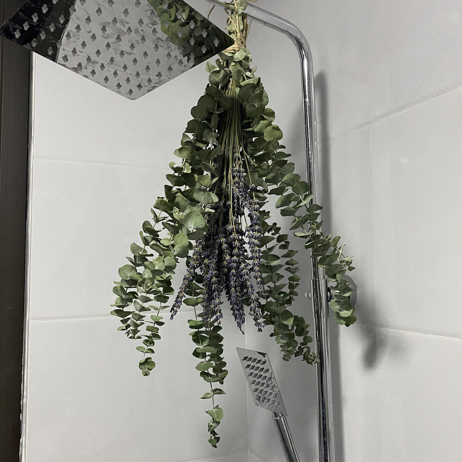 Shower Eucalyptus Bundle with Lavender Aromatherapy Shower Etsy