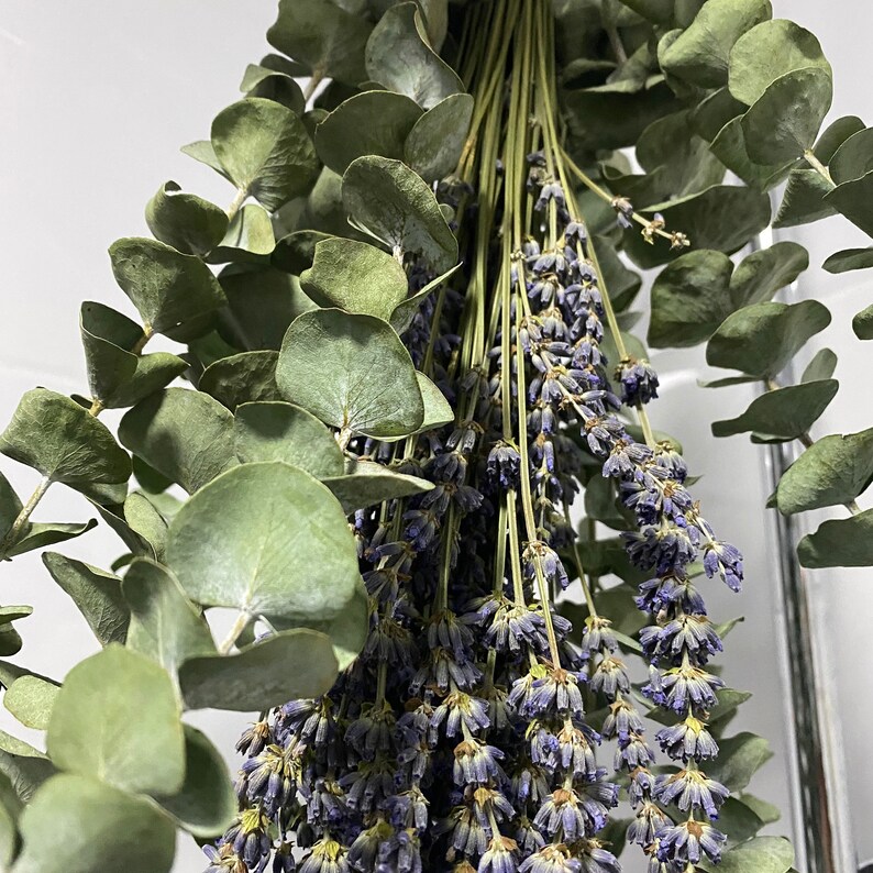 Shower Eucalyptus Bundle with Lavender Aromatherapy Shower Etsy