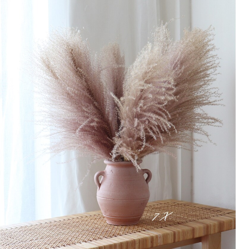 15 X Natural dried Fluffy Pampas Grass Decor Real Pampas Etsy