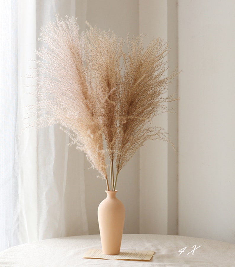 15 X Natural dried Fluffy Pampas Grass Decor Real Pampas Etsy