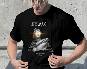 Bitcoin btc crypto enthusiast Stack Sats Satoshis Unisex t-shirt BTC Maxi