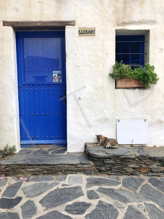 Digital Download Blue Door with Cat in Barcelona